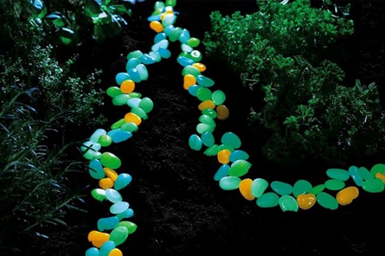 Продукти: Самосвитеща боя за нанасяне върху бетон и камък